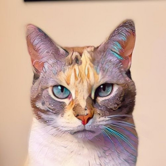 Professional cat ready for coding